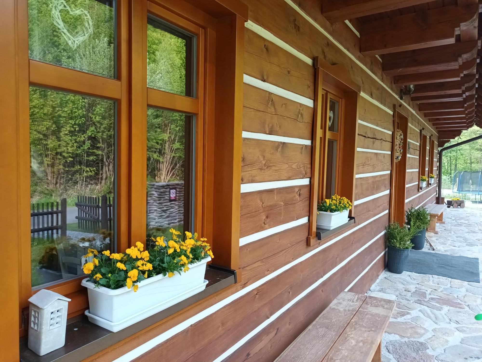 Apartmany U Vlcich Jam Petrowitz Exterior photo